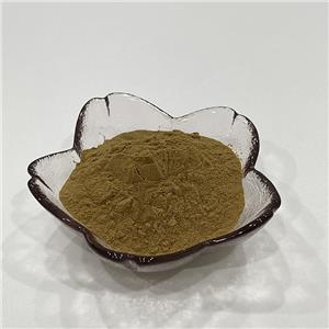 墨魚(yú)草提取物,Extractum Acanthi ilicis