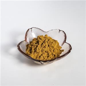 當(dāng)歸提取物,Extractum Angelicae sinensis