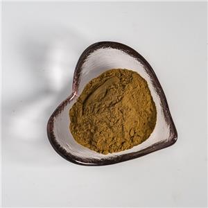 玉竹提取物,Extractum Polygonati odorati