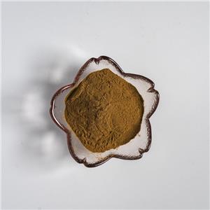 肉苁蓉提取物,Extractum Cistanches deserticolae
