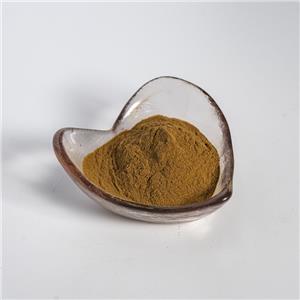 肉苁蓉提取物,Extractum Cistanches deserticolae