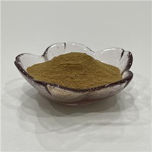 雞內(nèi)金提取物,Extractum Galli gigerii endothelium corneum