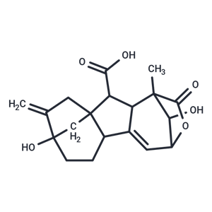 化合物 Isogibberellin A3|T125477|TargetMol