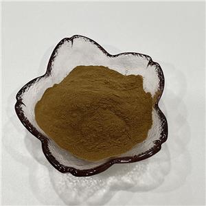 昆布提取物,Extractum Laminariae japonicae