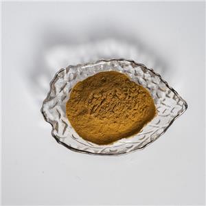 苦瓜提取物,Extractum Momordicae charantiae