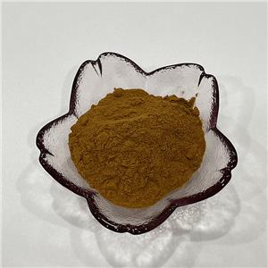 夏枯草提取物