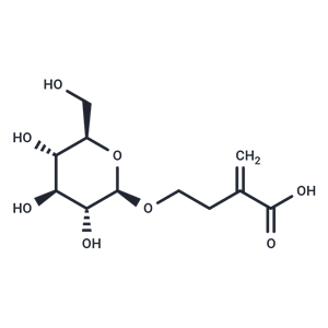 化合物 Securiterpenoside|T124804|TargetMol