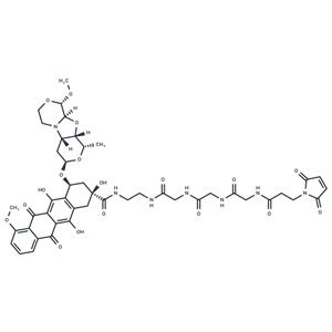 化合物 Mal-C2-Gly3-EDA-PNU-159682|T18246|TargetMol