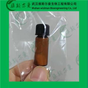 門冬酰胺酶,ASPARAGINASE