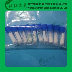 奧格列龍鈣水合物-3008544-96-2-純度98%-|對(duì)照品|檢測(cè)圖譜|科研試劑-找維斯?fàn)柭跞A