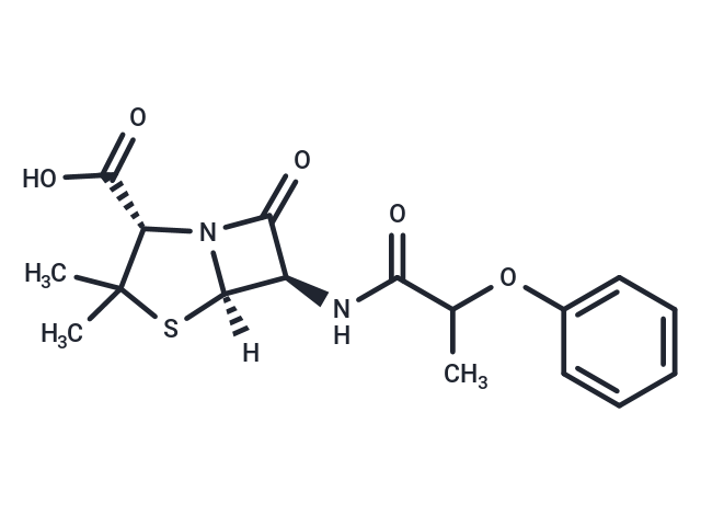 非奈西林,Pheneticillin