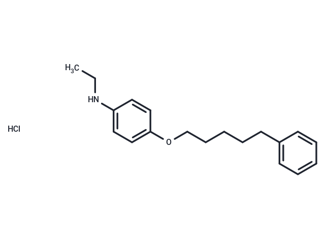 化合物 Aniline, N-ethyl-p-(5-phenylpentyloxy)-, hydrochloride,Aniline, N-ethyl-p-(5-phenylpentyloxy)-, hydrochloride