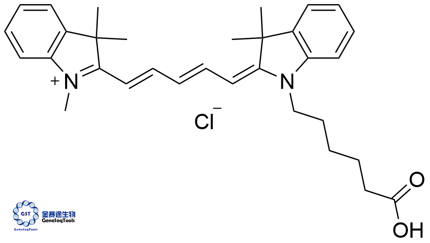 菁5羧酸,Cyanine5 carboxylic acid;Cy5