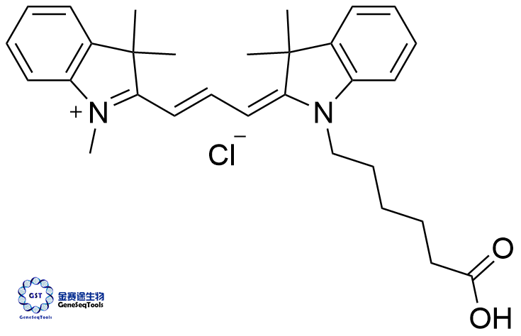 菁3羧酸,Cyanine3 carboxylic acid;Cy3