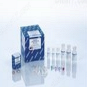 enzyme research,Enzyme