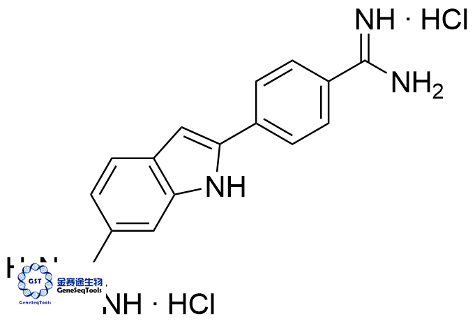 4',6-二脒基-2-苯基吲哚二鹽酸鹽,4',6-Diamidino-2-phenylindole Dihydrochloride;DAPI