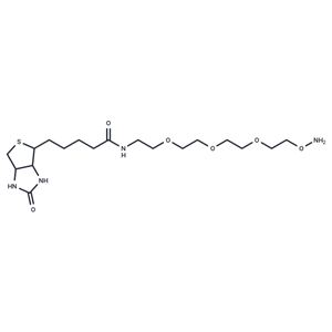 化合物 Biotin-PEG3-oxyamine,Biotin-PEG3-oxyamine