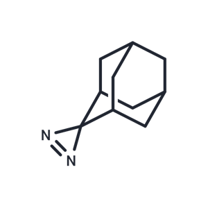 化合物 Adamantane diazirine|T29639|TargetMol