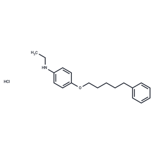 化合物 Aniline, N-ethyl-p-(5-phenylpentyloxy)-, hydrochloride|T30067|TargetMol