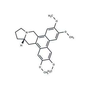 化合物 Tylophorine,Tylophorine