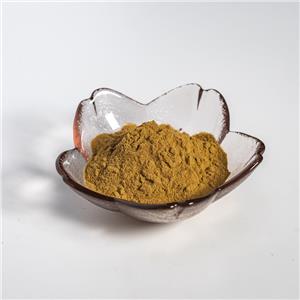 荷叶提取物 475-83-2