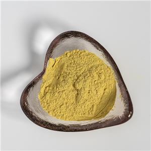 黃柏提取物,Extractum Phellodendri chinensis