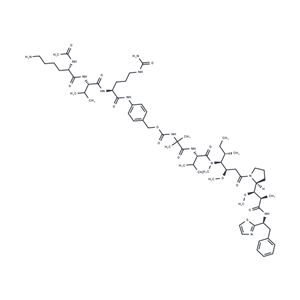 化合物 AcLys-PABC-VC-Aur0101|T17357|TargetMol