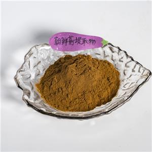 朝鮮薊提取物,Extractum Cynarae scolymus