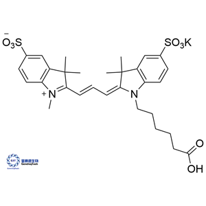 1121756-11-3 (inner salt) 磺基-菁3羧酸  | sulfo-Cyanine3 carboxylic acid;Sulfo-Cy3