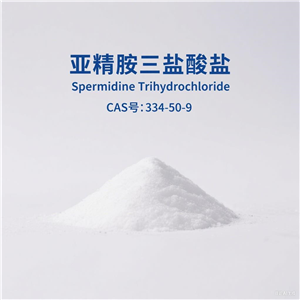 亞精胺,Spermidine