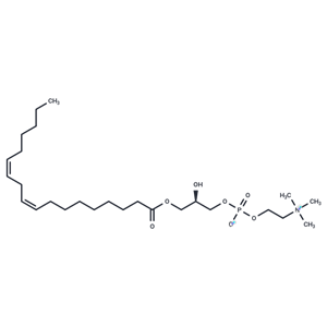 1-亞油酰-2-羥基-SN-甘油-3-卵磷脂,Lysophosphatidylcholine 18:2