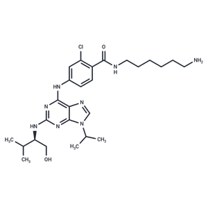 化合物 Protein kinase affinity probe 1|T12562|TargetMol