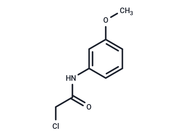化合物 Acetamide, 2-chloro-N-(3-methoxyphenyl)-,Acetamide, 2-chloro-N-(3-methoxyphenyl)-