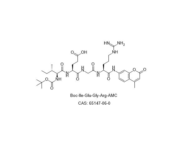 Boc-Ile-Glu-Gly-Arg-AMC,Boc-Ile-Glu-Gly-Arg-AMC