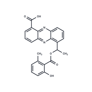 化合物 Saphenamycin|T26176|TargetMol