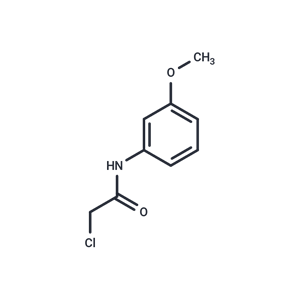 化合物 Acetamide, 2-chloro-N-(3-methoxyphenyl)-,Acetamide, 2-chloro-N-(3-methoxyphenyl)-