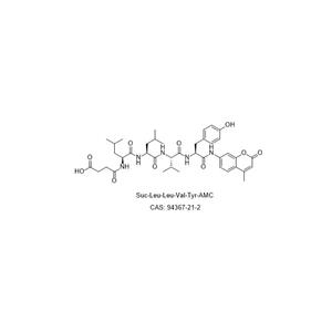 Suc-Leu-Leu-Val-Tyr-AMC 94367-21-2