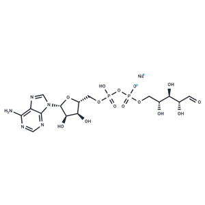 二磷酸腺苷核糖,Adenosine 5