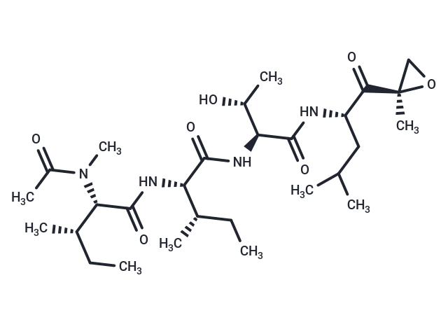 環(huán)氧酶素,Epoxomicin