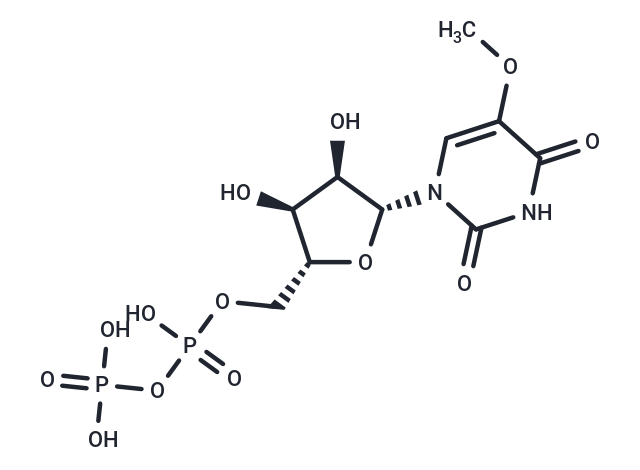 化合物 5-OMe-UDP trisodium salt,5-OMe-UDP trisodium salt