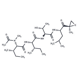 環(huán)氧酶素,Epoxomicin