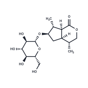 化合物 Nepetaside|T126348|TargetMol