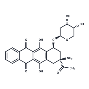 化合物 Amrubicin|T22568|TargetMol