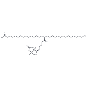 化合物 N-(Amino-PEG4)-N-Biotin-PEG4-acid|T18373|TargetMol