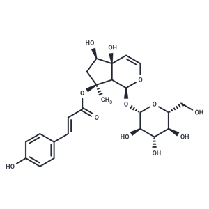 化合物 8-O-4-Hydroxycinnamoylharpagide|T126028|TargetMol