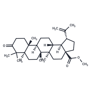 化合物 Methyl betulonate|T86888|TargetMol