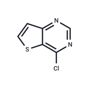 4-氯噻吩并[3,2-d]嘧啶,4-Chlorothieno[3,2-d]pyrimidine