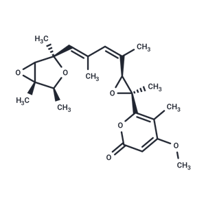 化合物 Norverrucosidin|T126356|TargetMol