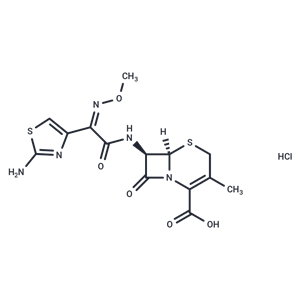 化合物 Cefetamet Hydrochloride|T26974|TargetMol