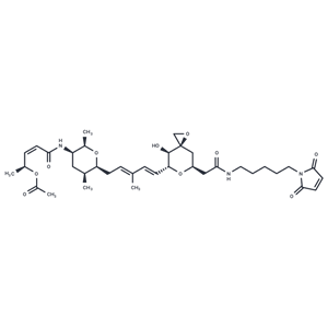 化合物 MC-Thailanstatin A|T86871|TargetMol